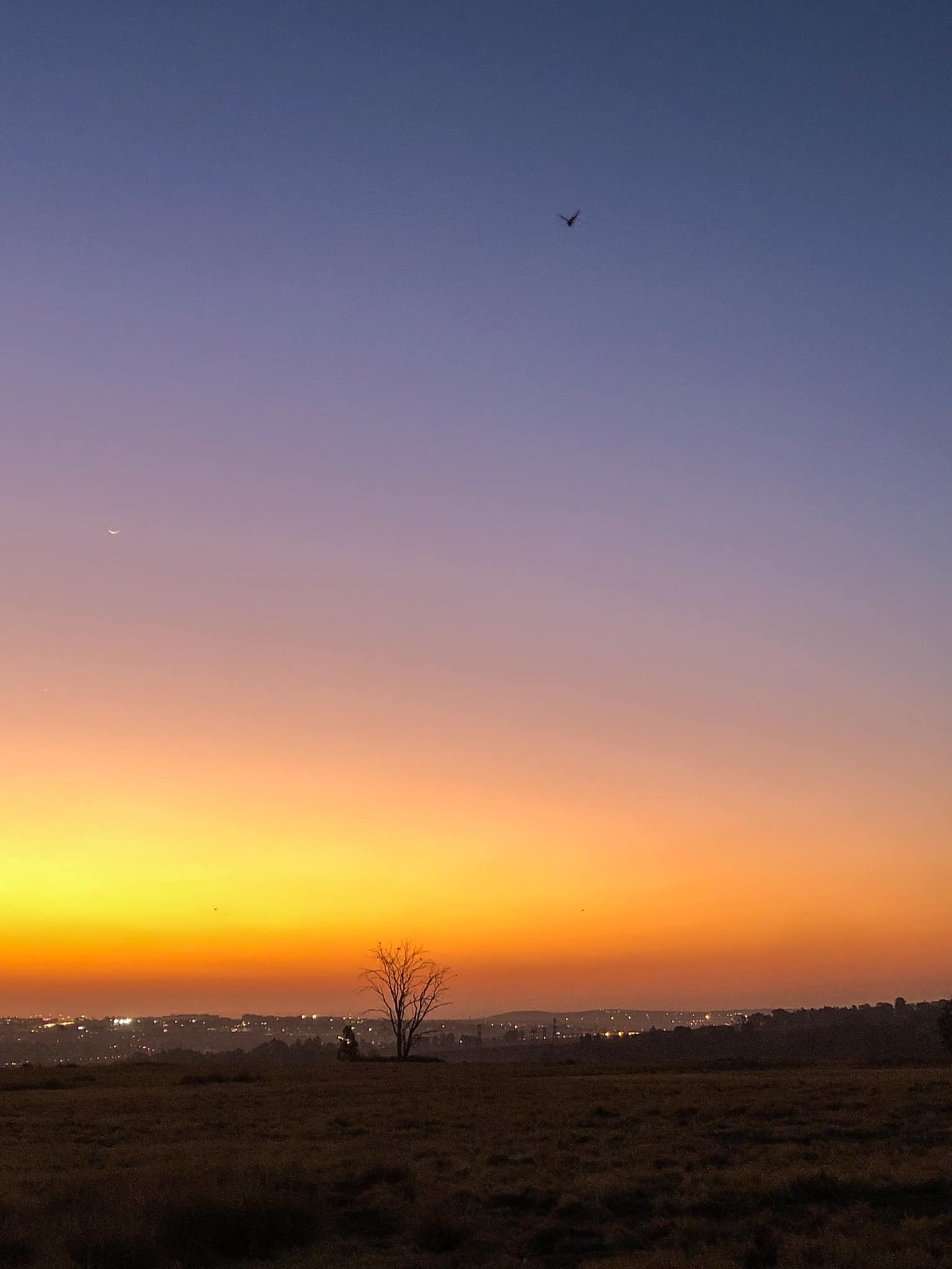 Modderfontein Reserve | Modderfontein