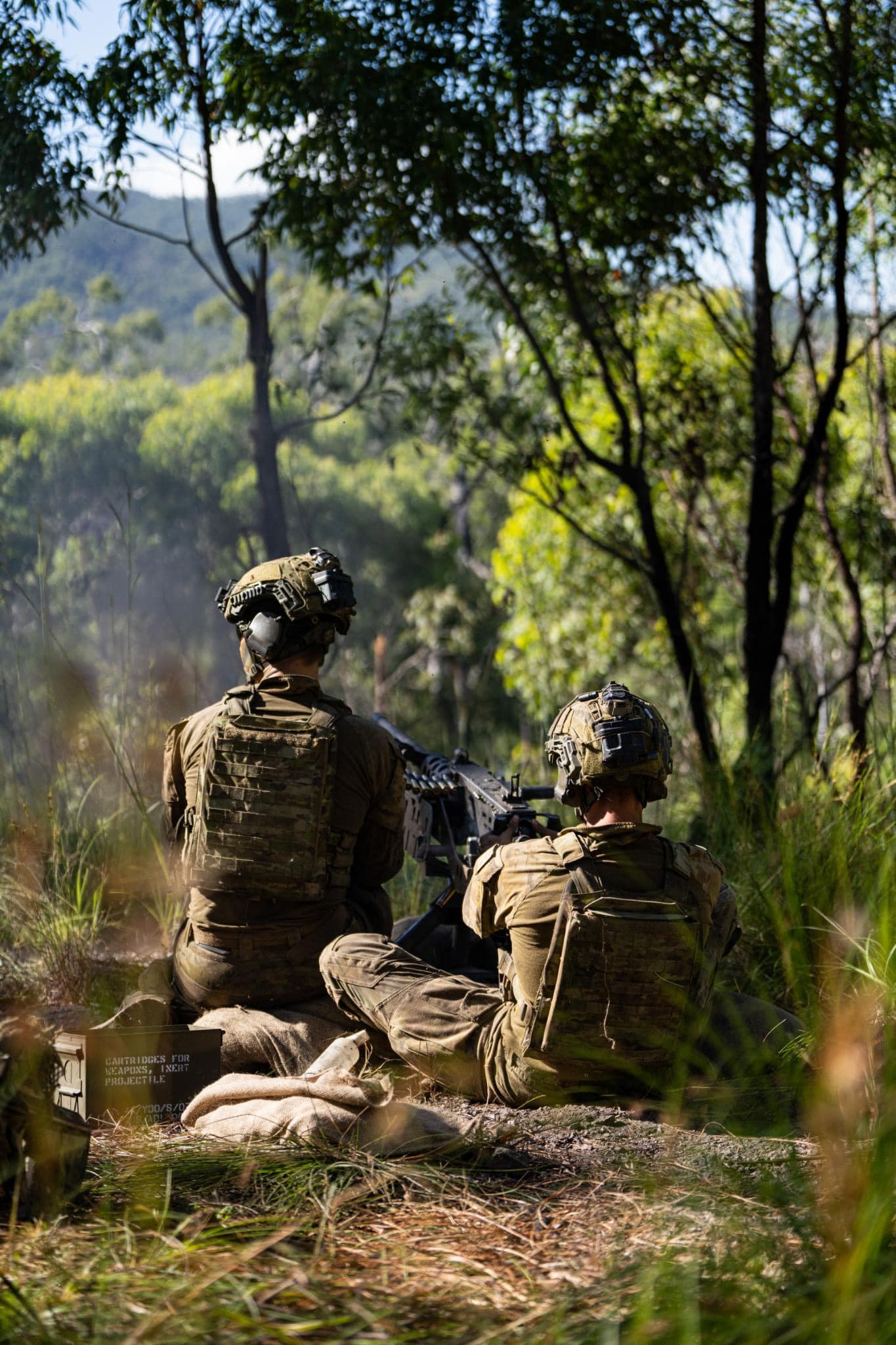 DFSW... - 8th/9th Battalion, The Royal Australian Regiment | Facebook
