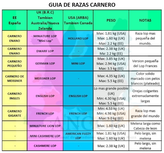 Criadero - TABLA EQUIVALENTE DE LAS RAZAS CARNERO (LOP/BELIER) Según ...