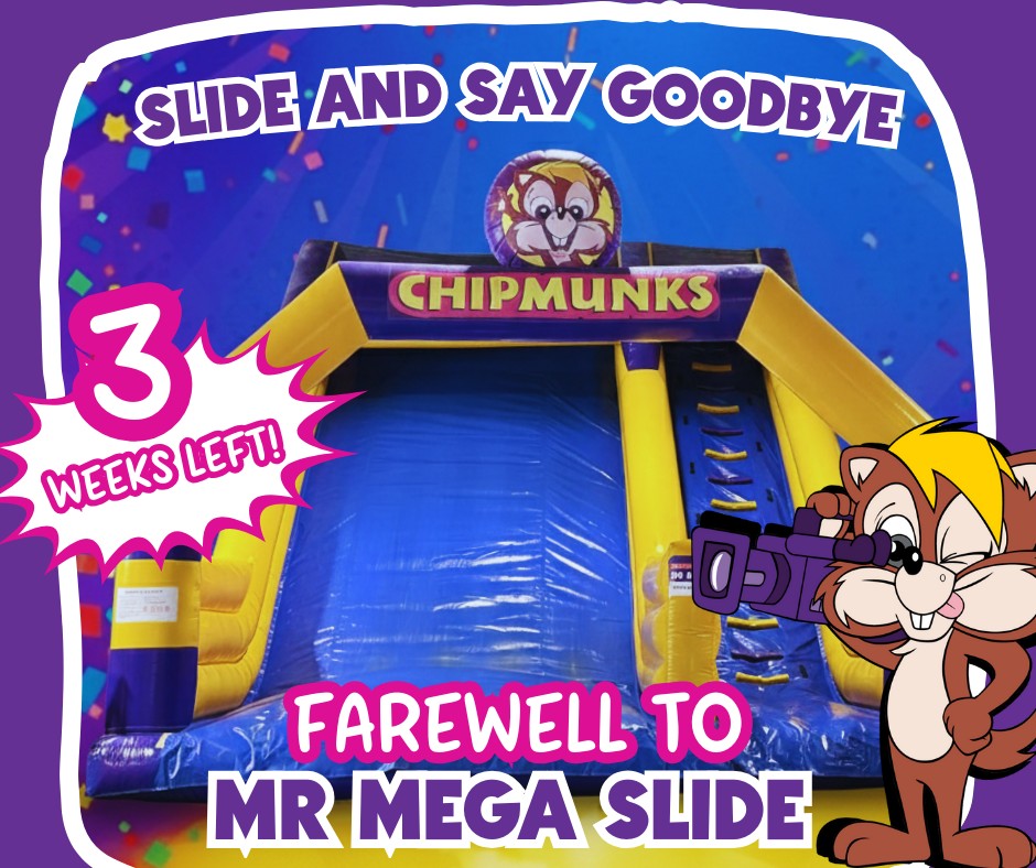 Chipmunks - ⏳ THE CLOCK IS TICKING! ⏳ To make room for our massive ...