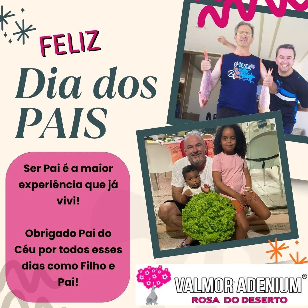 Rosa do Deserto - Valmor Adenium