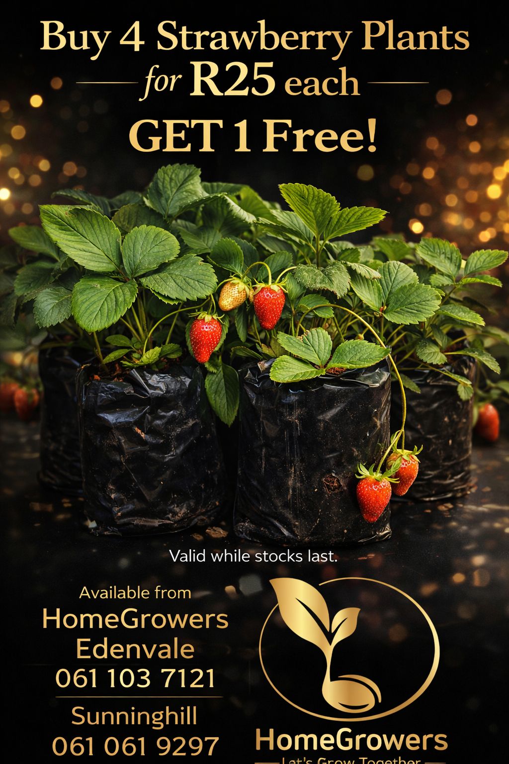HomeGrowers - Make Your Festive Season Bloom! This... | Facebook