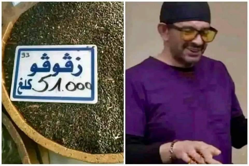 أخبار القصرين