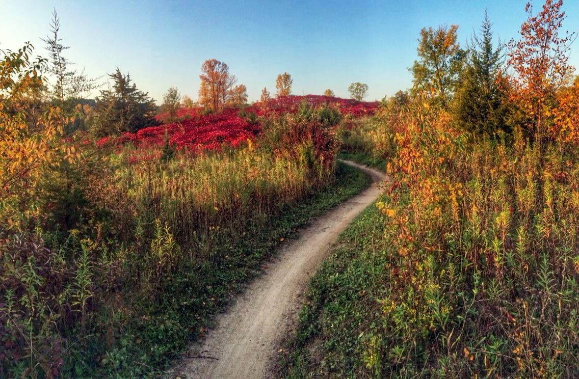 Photo By Gary Connett Elm Creek Singletrack Facebook Gary connett | www.twitter.com/garyconnettusa www.facebook.com/garyconnett. photo by gary connett elm creek singletrack facebook