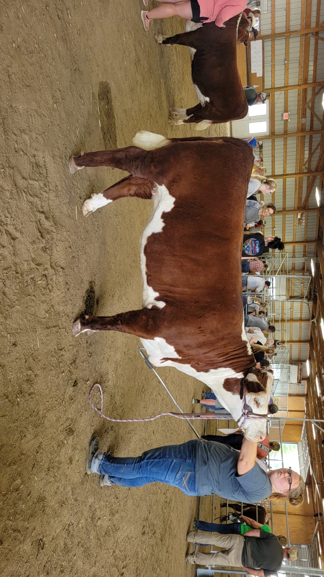 Butler Cattle Company | State Center IA