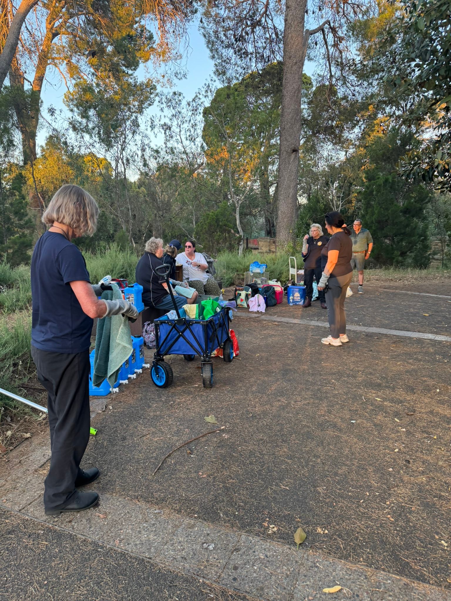 Bat Rescue SA Inc - Adelaide Bat Chat