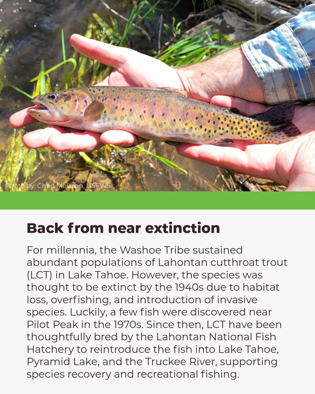Tahoe Keepers | South Lake Tahoe CA