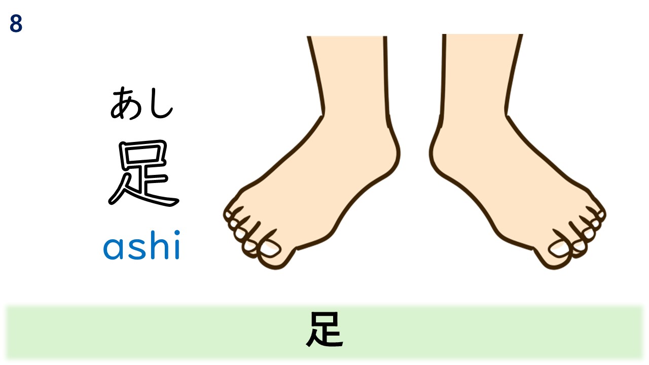 日本語の仲間 - 日文生詞8 足：足(あし) #日文生詞 #足 #あし | Facebook