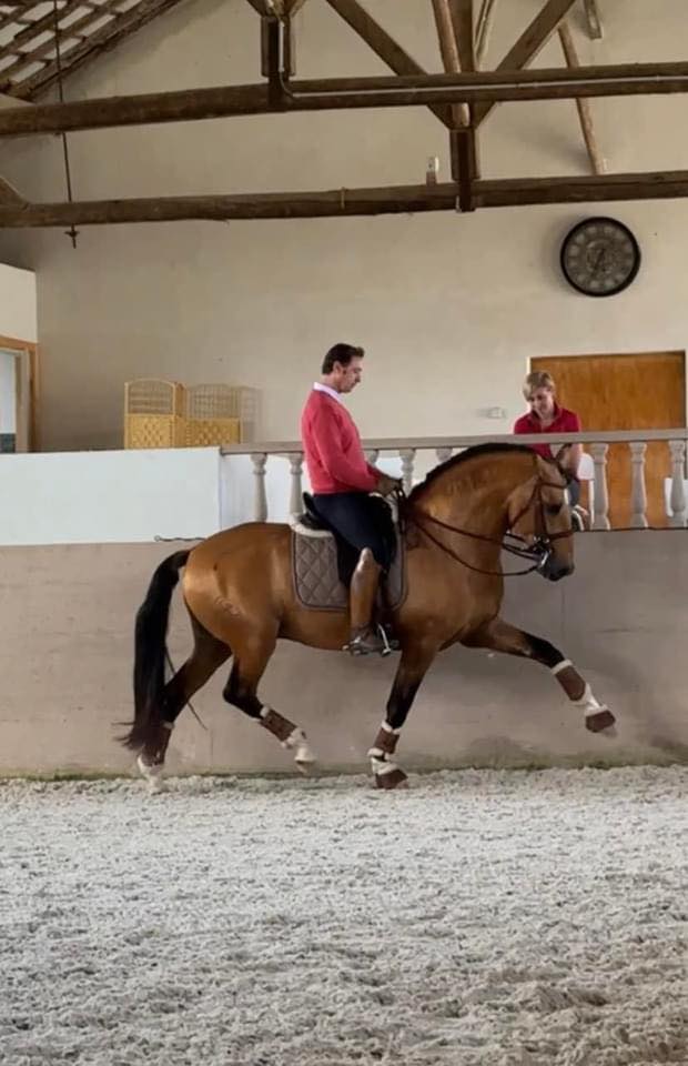Gonçalo Linhas classical rider