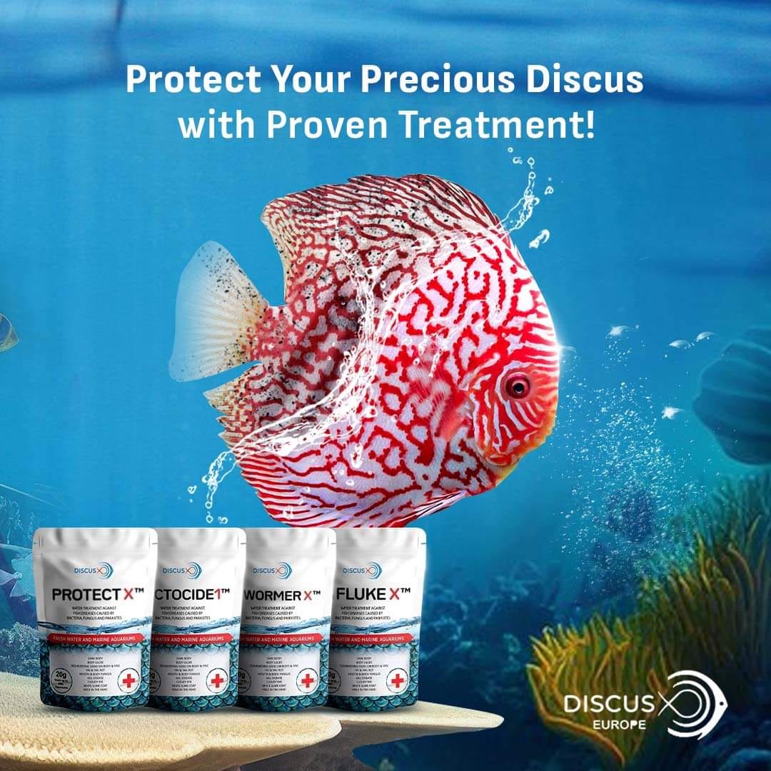 NEW DiscusX comprehensive prevention... - Aqua Discus India