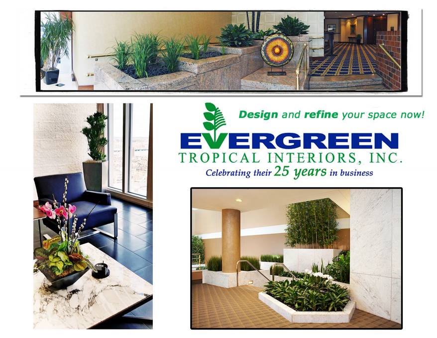 Check out these before and... - Evergreen Tropical Interiors