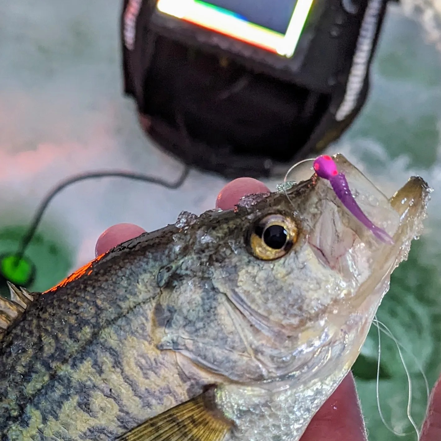 Wolfram Custom Rods | Prior Lake MN