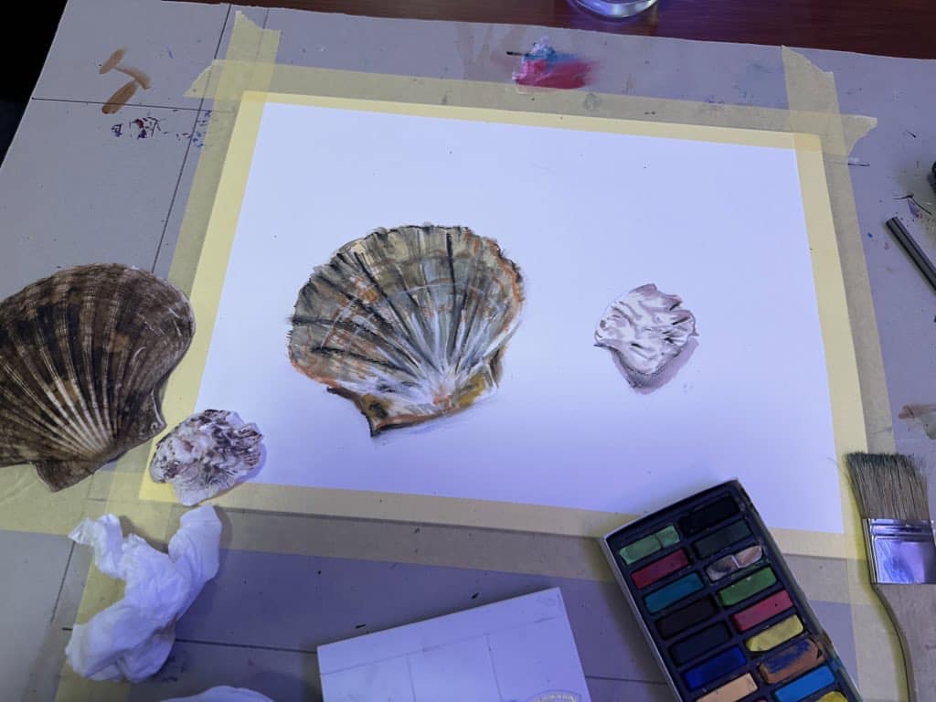 Painting shells - Janey Godley's FanPage | Facebook