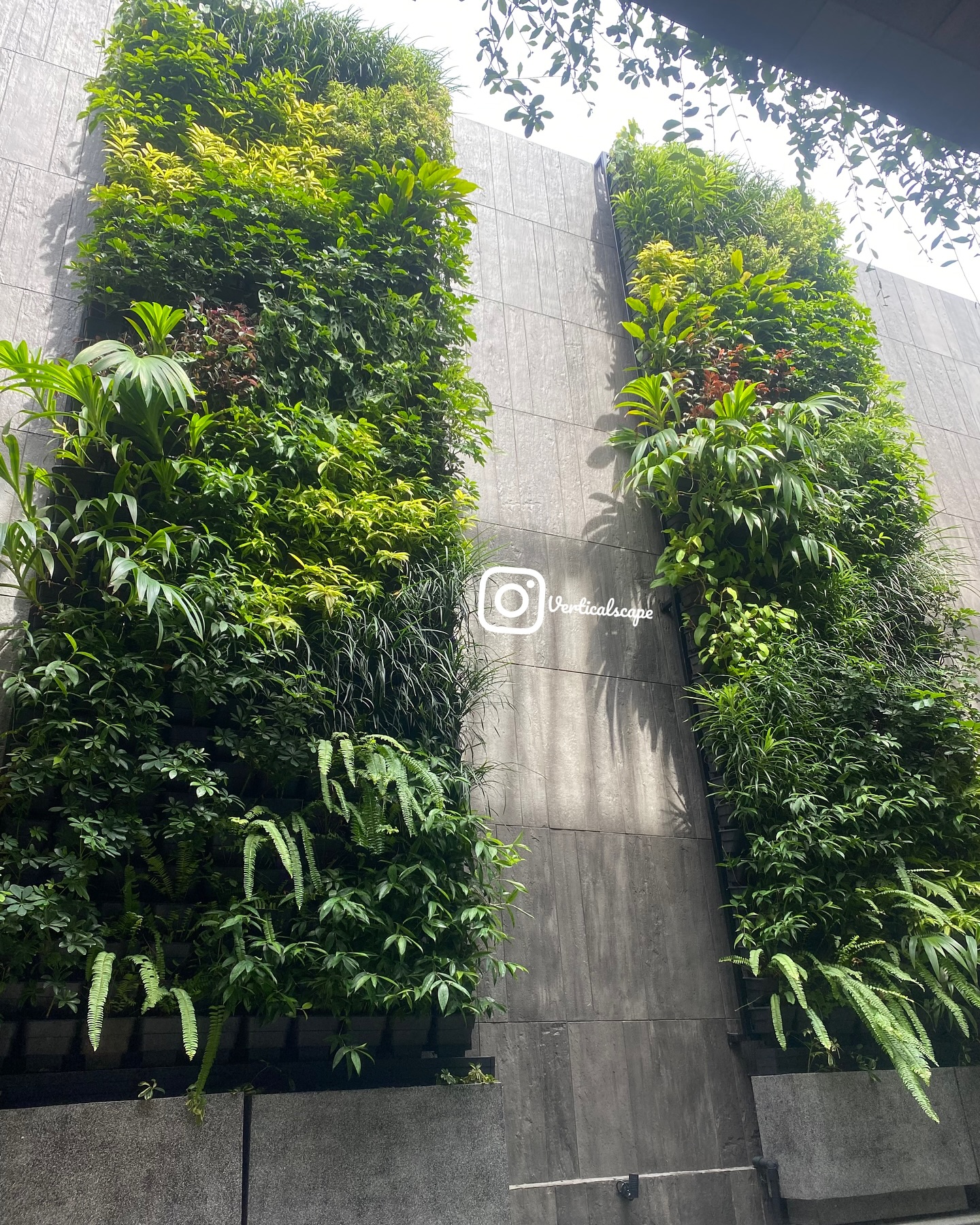 Verticalscape