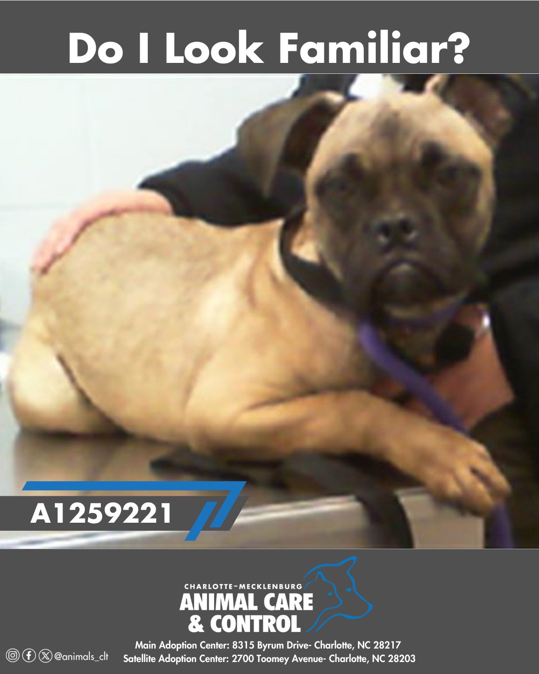 Animal Care & Control added a new... - Animal Care & Control