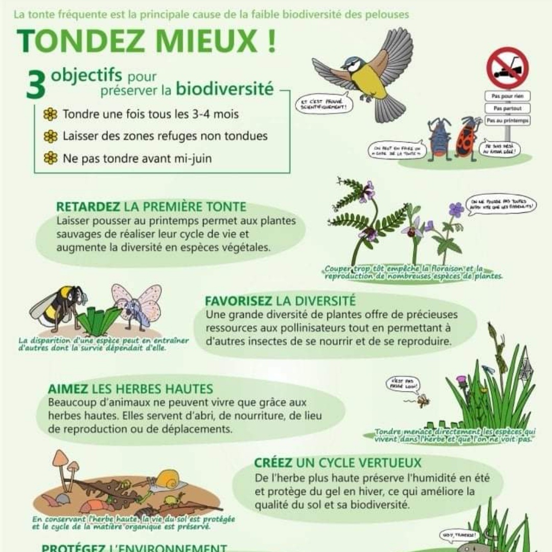 Tu Sais Que Tu Viens De Sannois