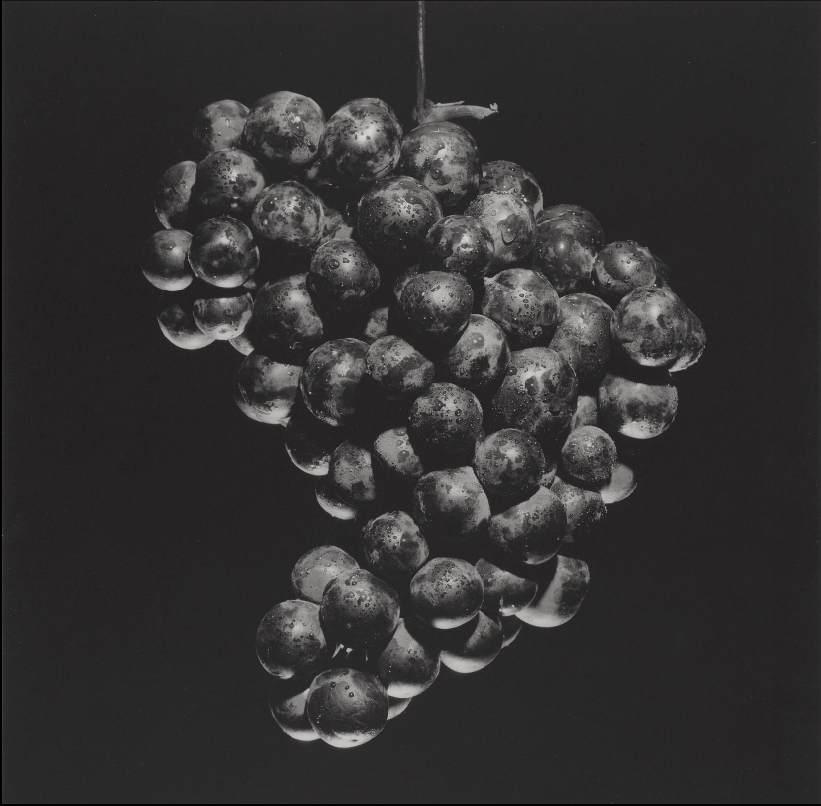 Memento mori' Robert Mapplethorpe Last self portrait 1988 Platinum