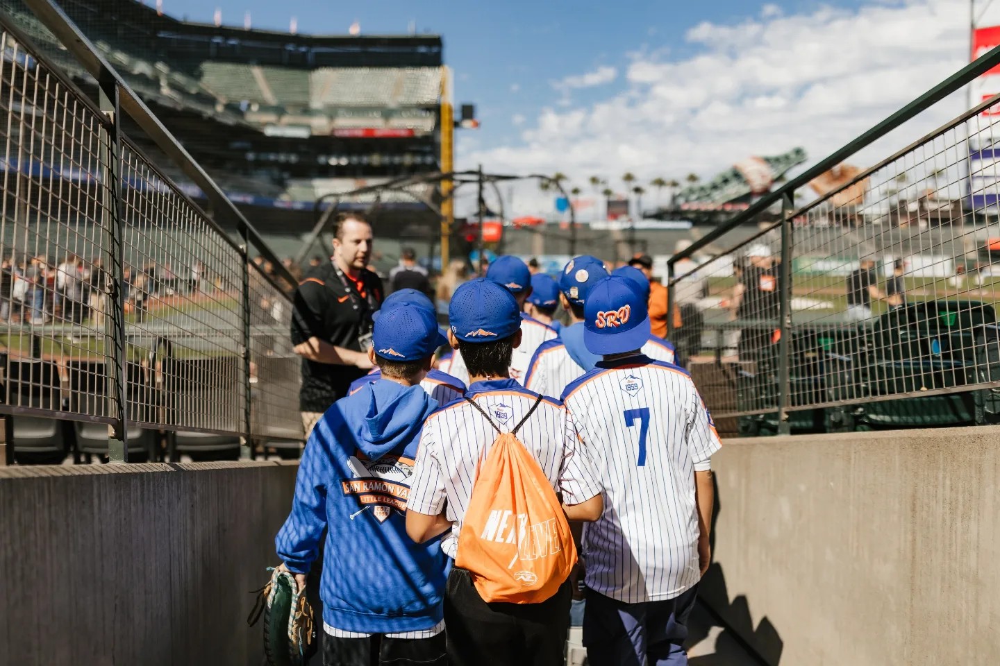 San Ramon Valley Little League | Danville CA
