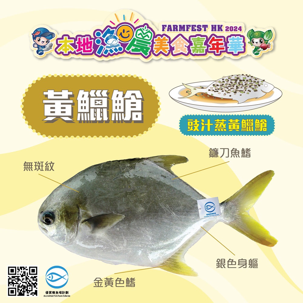 本地漁農美食嘉年華 - 【優質水產】黃鱲䱽 #黃鱲䱽 #我的至愛本地魚菜...