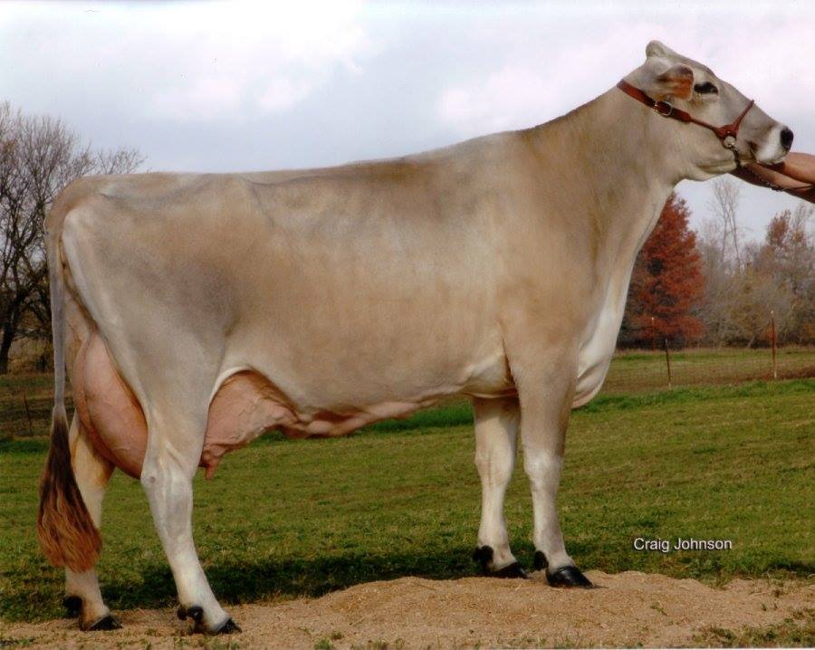 Long Lane Farm - Just getting around to summarizing our classification ...