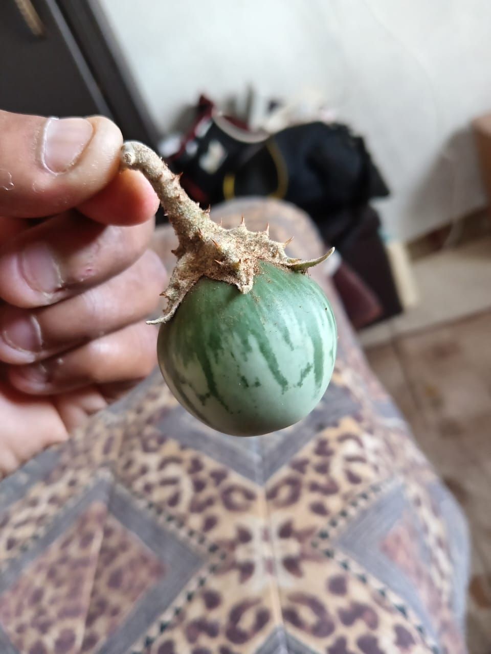 Siyanda - - Namhlanje Bantu Base Mzini Makhe Sithethe Ngomthuma/Intuma ...