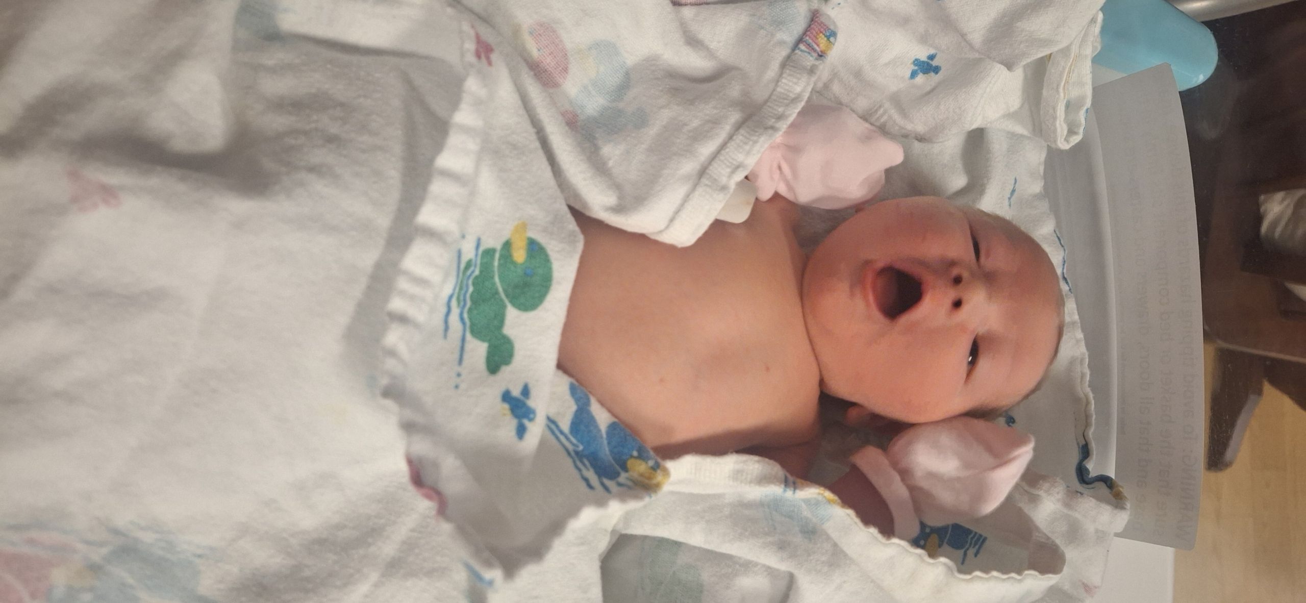 Cole Justice Ruggles