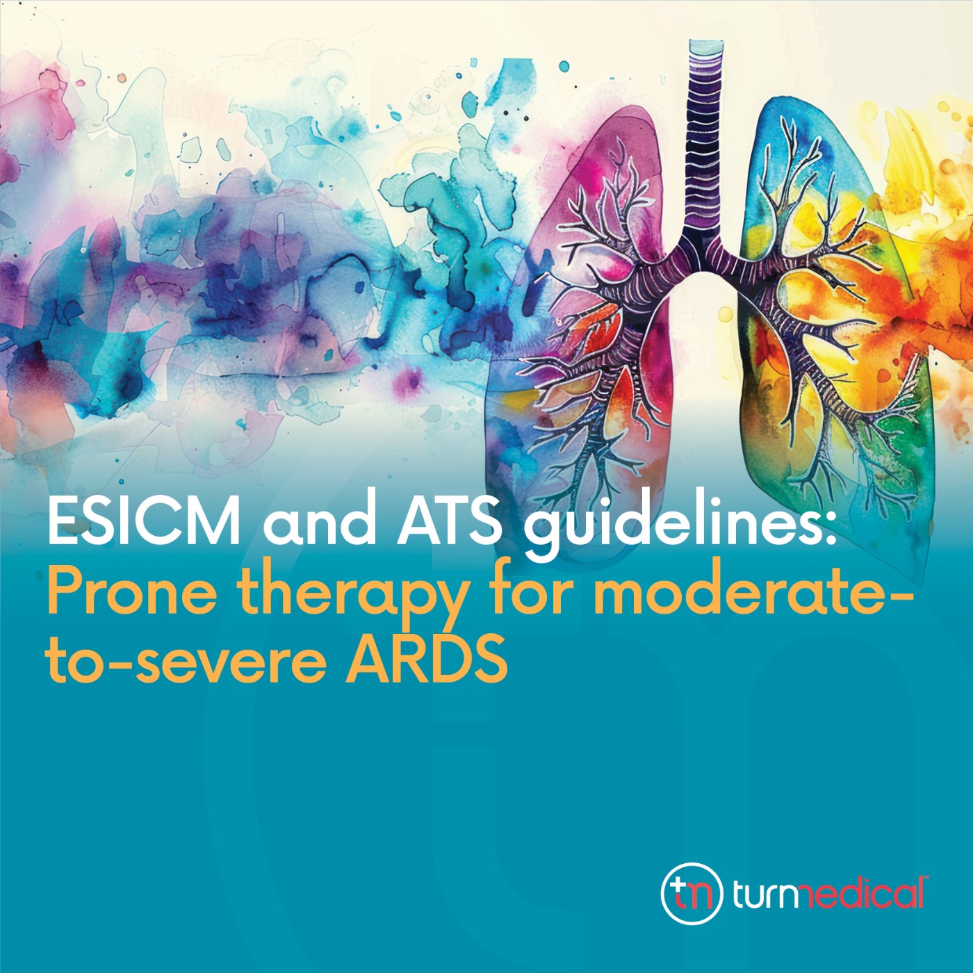 Turn - Ever wonder about the guideline sequence? According to the most ...