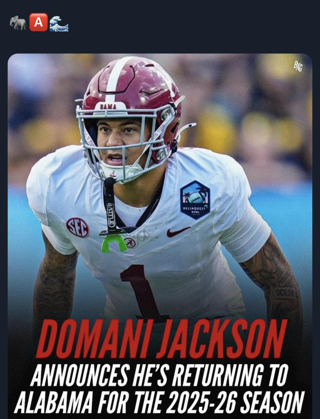 Bama Fans Only