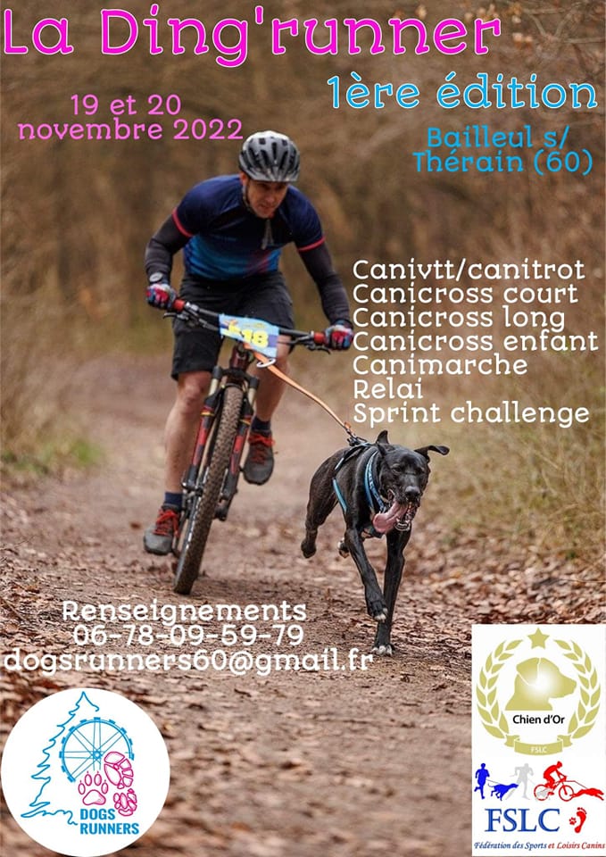 Dogs runners 60 - La voici 😉, l'affiche de la Ding'runner... | Facebook