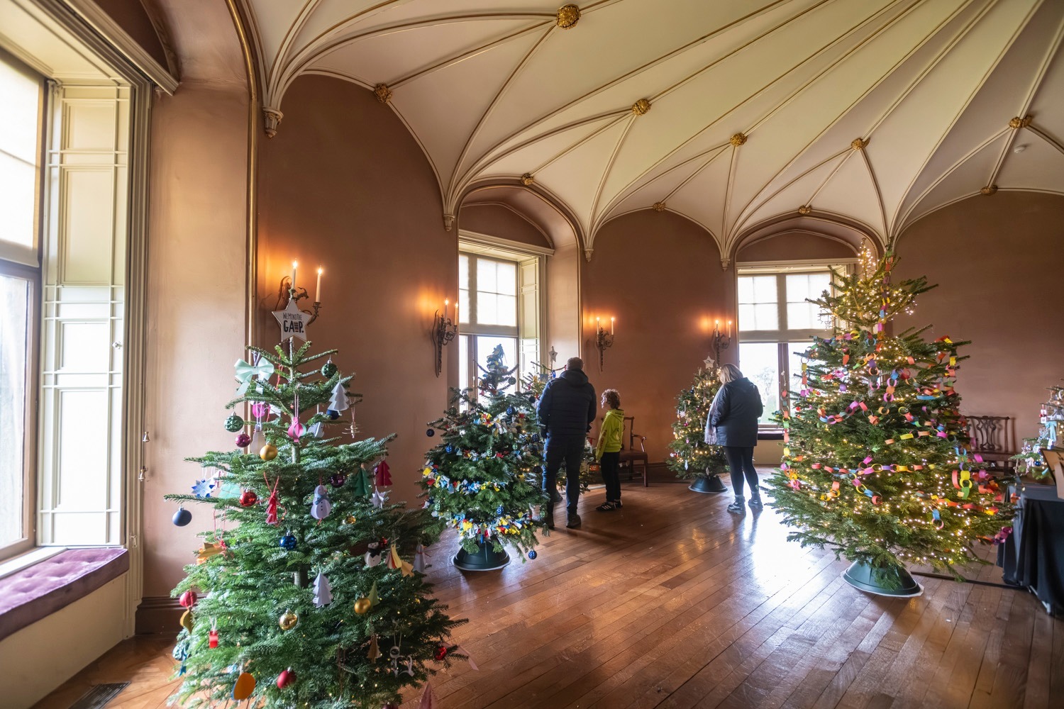 Coed Nadolig Cymunedol... - Chirk Castle NT/YG Castell Y Waun | Facebook