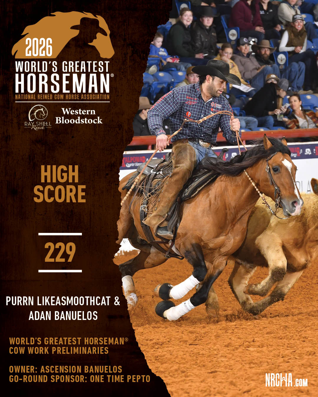 How about a 229 in the World's Greatest Horseman® cow work