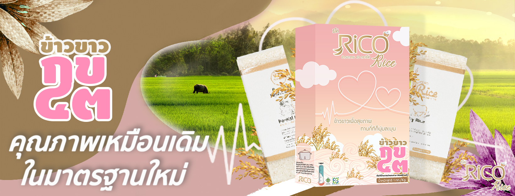 Rico Rice - ข้าวเพื่อสุขภาพ