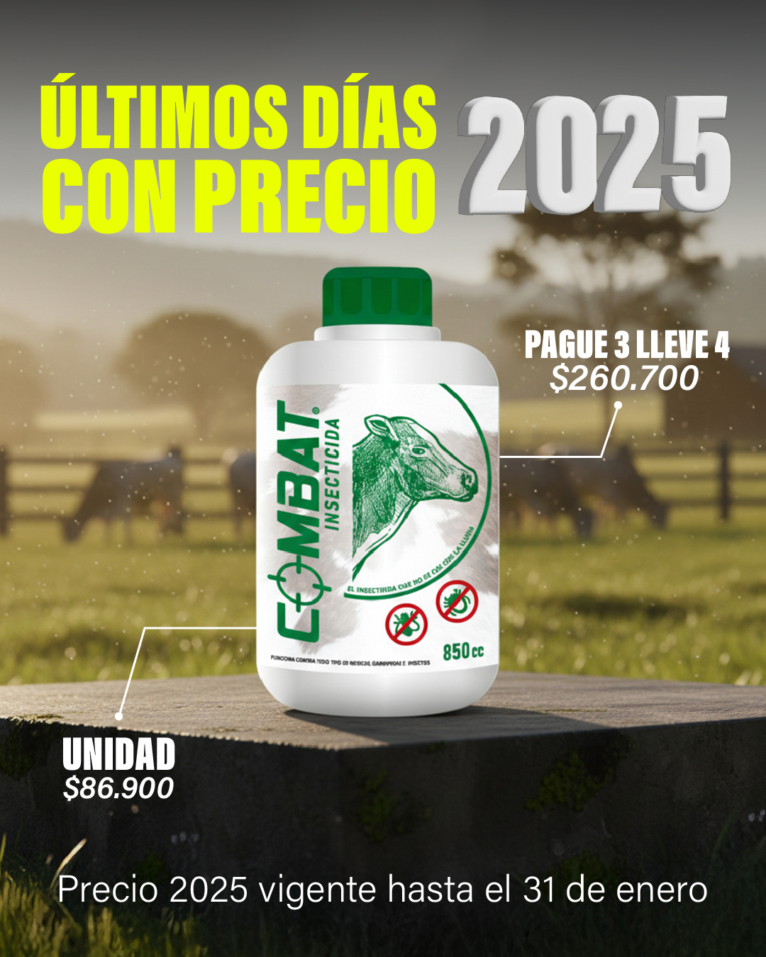 Combat Insecticida