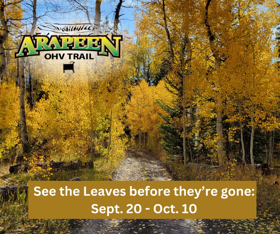 🍁 The fall foliage on the Arapeen... - ATV UTV Trails in Utah | Facebook