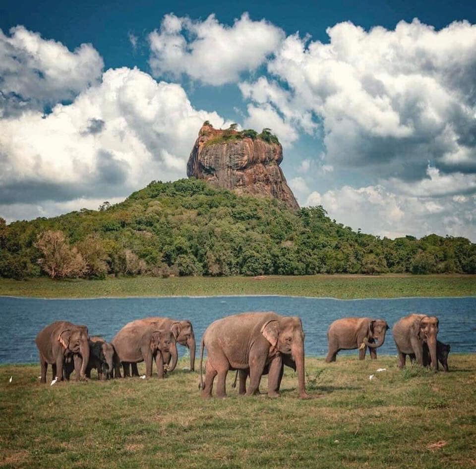 Fabulous Sri Lanka | Ragama