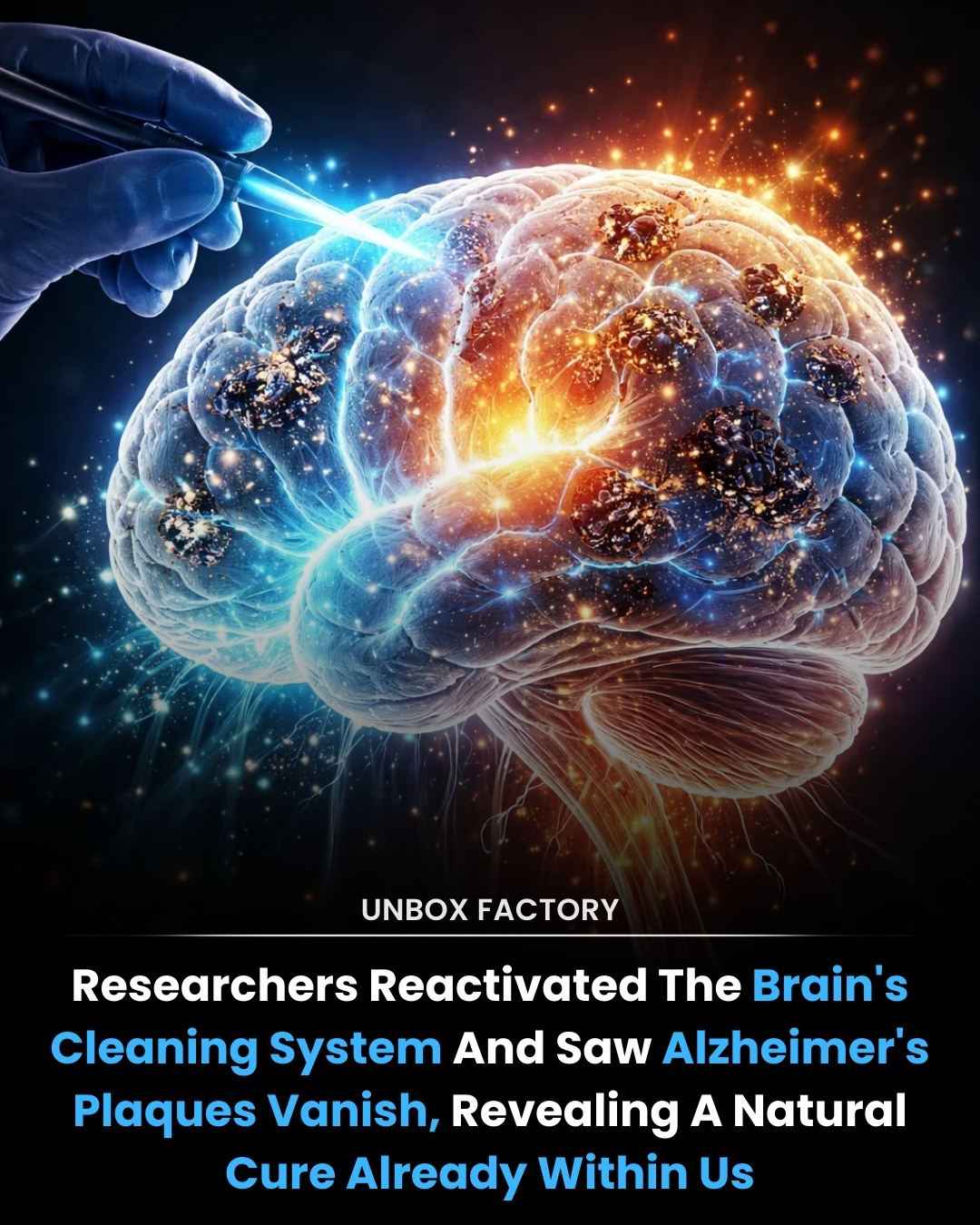 Unbox - Researchers have successfully reactivated the brain’s natural ...