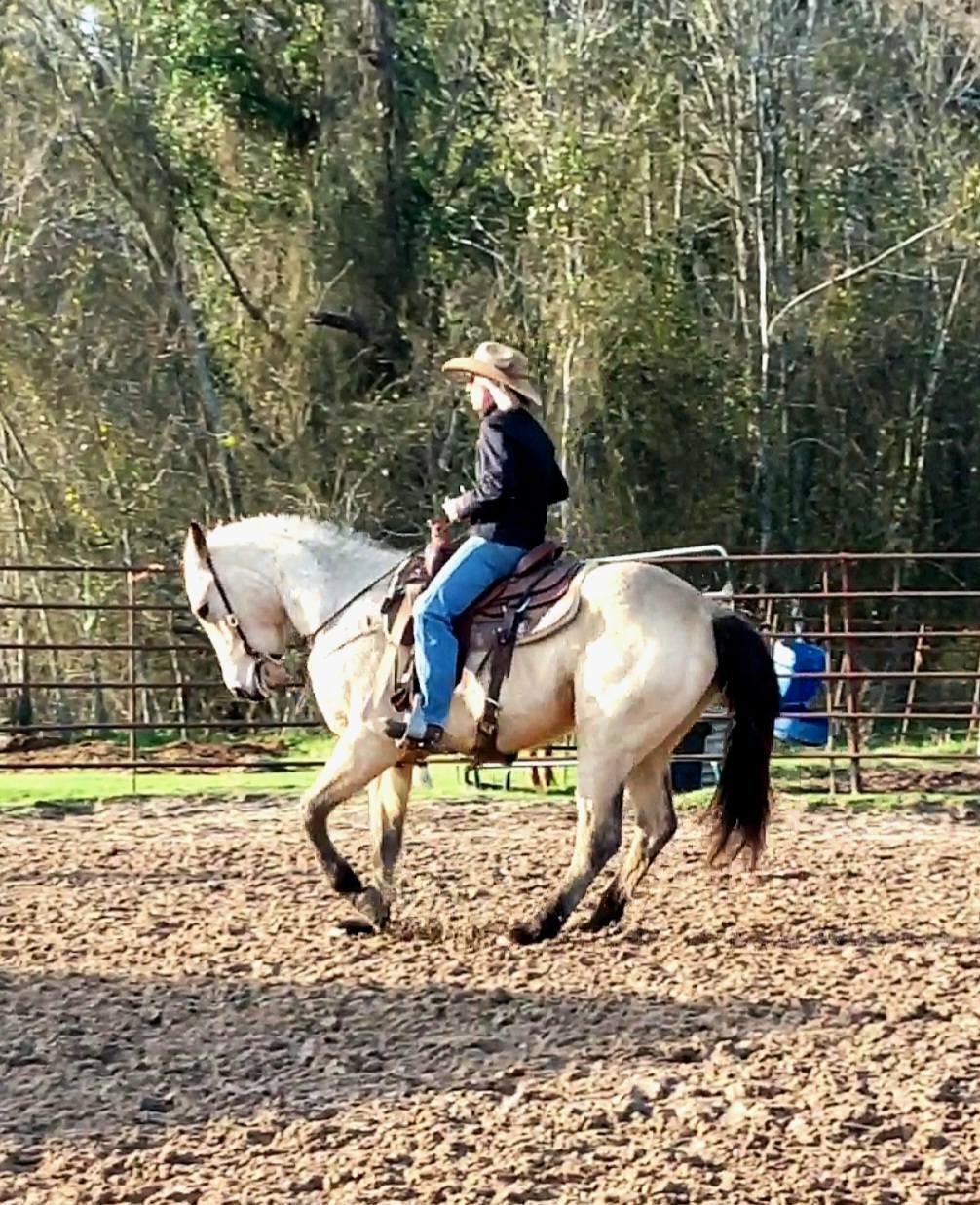 Triple V Ranch Performance Horses | Coldspring TX