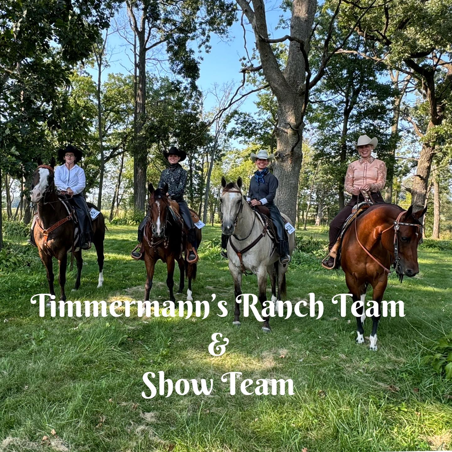 Sunflower Barns of... - Timmermanns Ranch & Saddle Shop