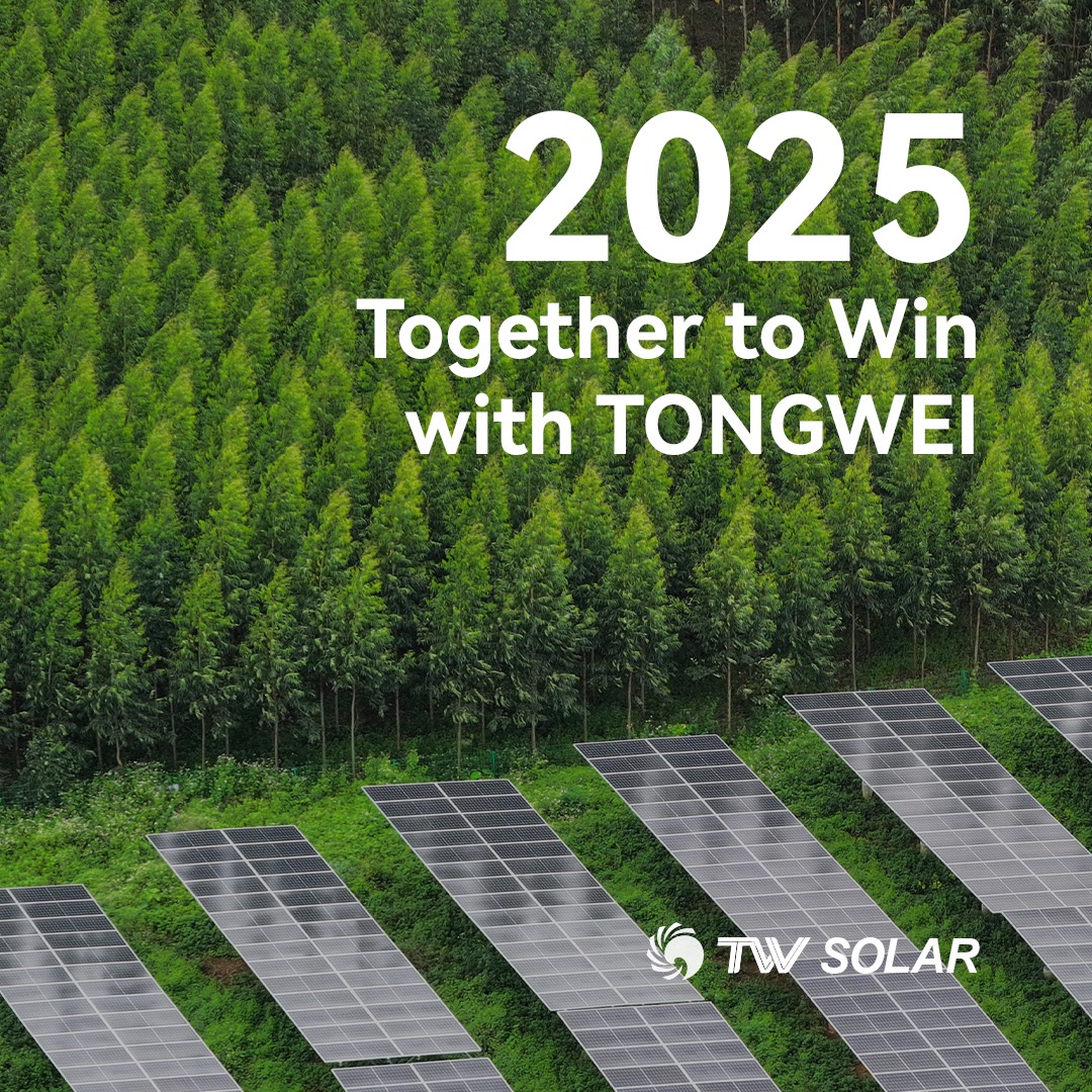 Tongwei Solar - 🌱 2025, Together to Win with TONGWEI 🌱... | Facebook