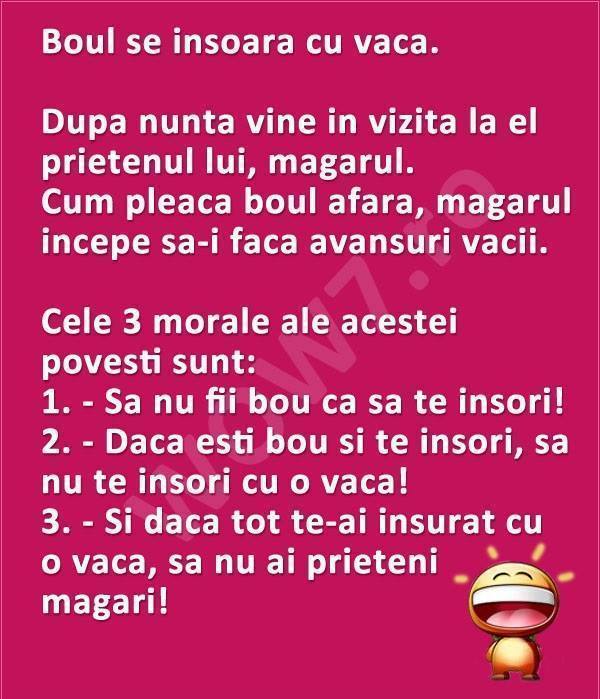 Mori de ras