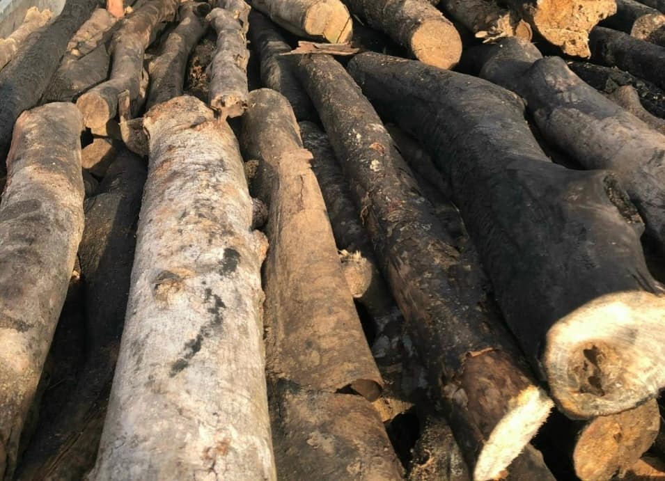 Củi Trấu Đốt Lò Hơi Đà Nẵng... - Củi Trấu Đốt Lò Hơi Đà Nẵng