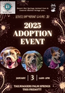 City of Desert Hot Springs Animal Care and Control - Come down ...