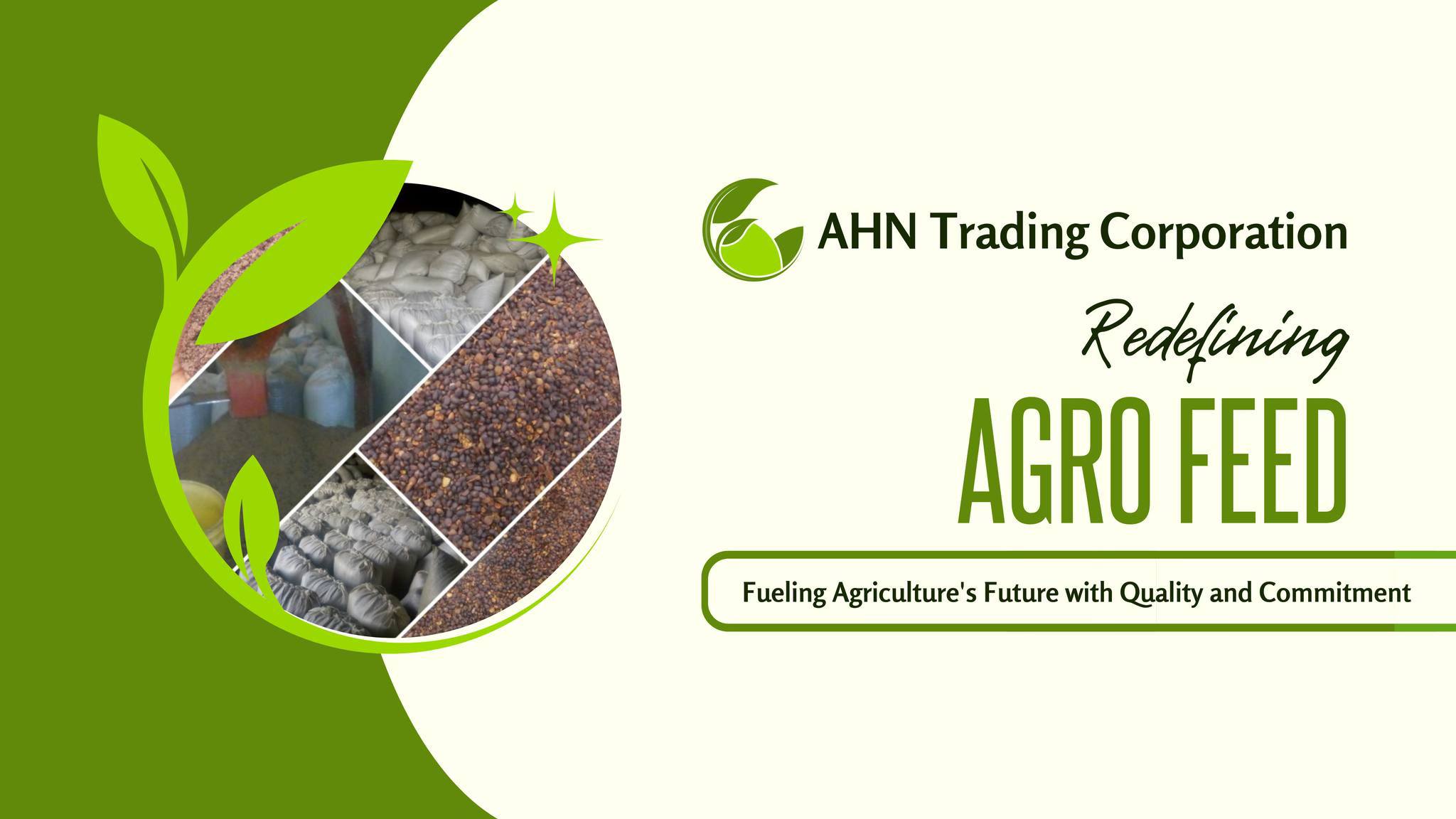 AHN Trading Corporation