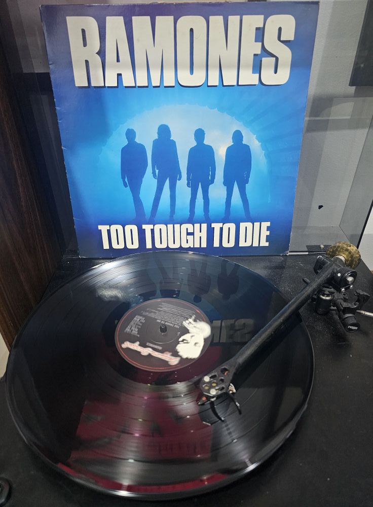 Ramones-Too Tough To Die. Love this album: