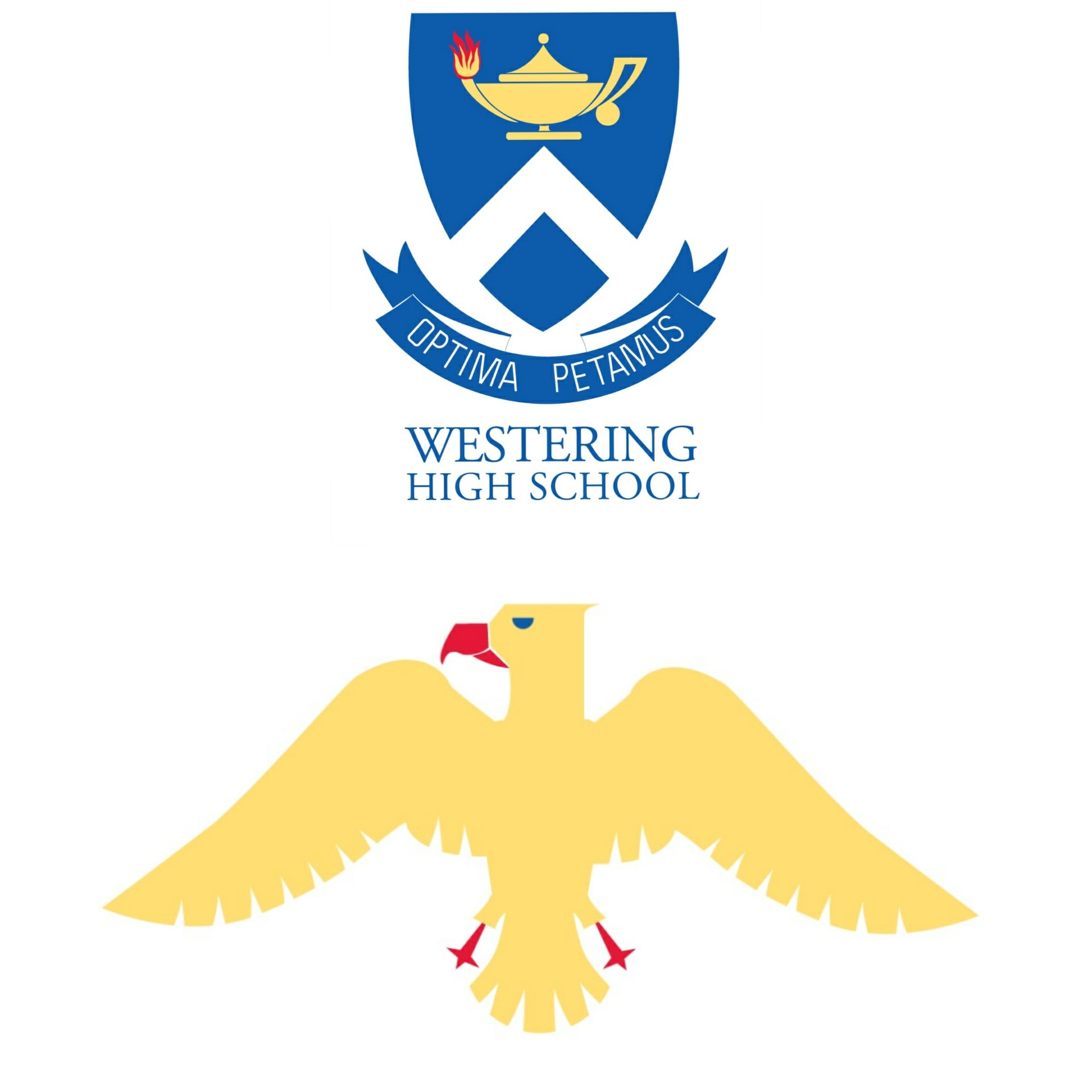 Westering High rugby