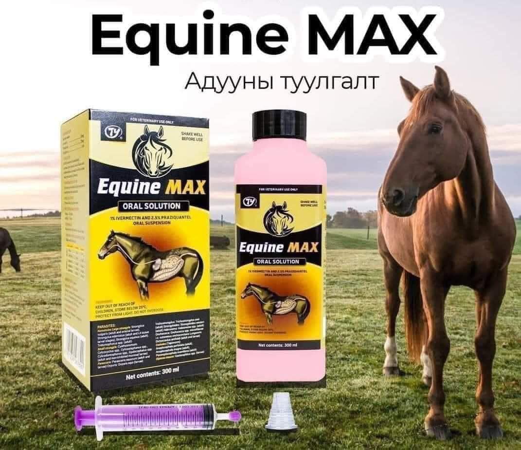 🐎Equine MAX🐎 Адуунд... - Түмэнсувд сүрэг ХХК-Малын эмийн сан