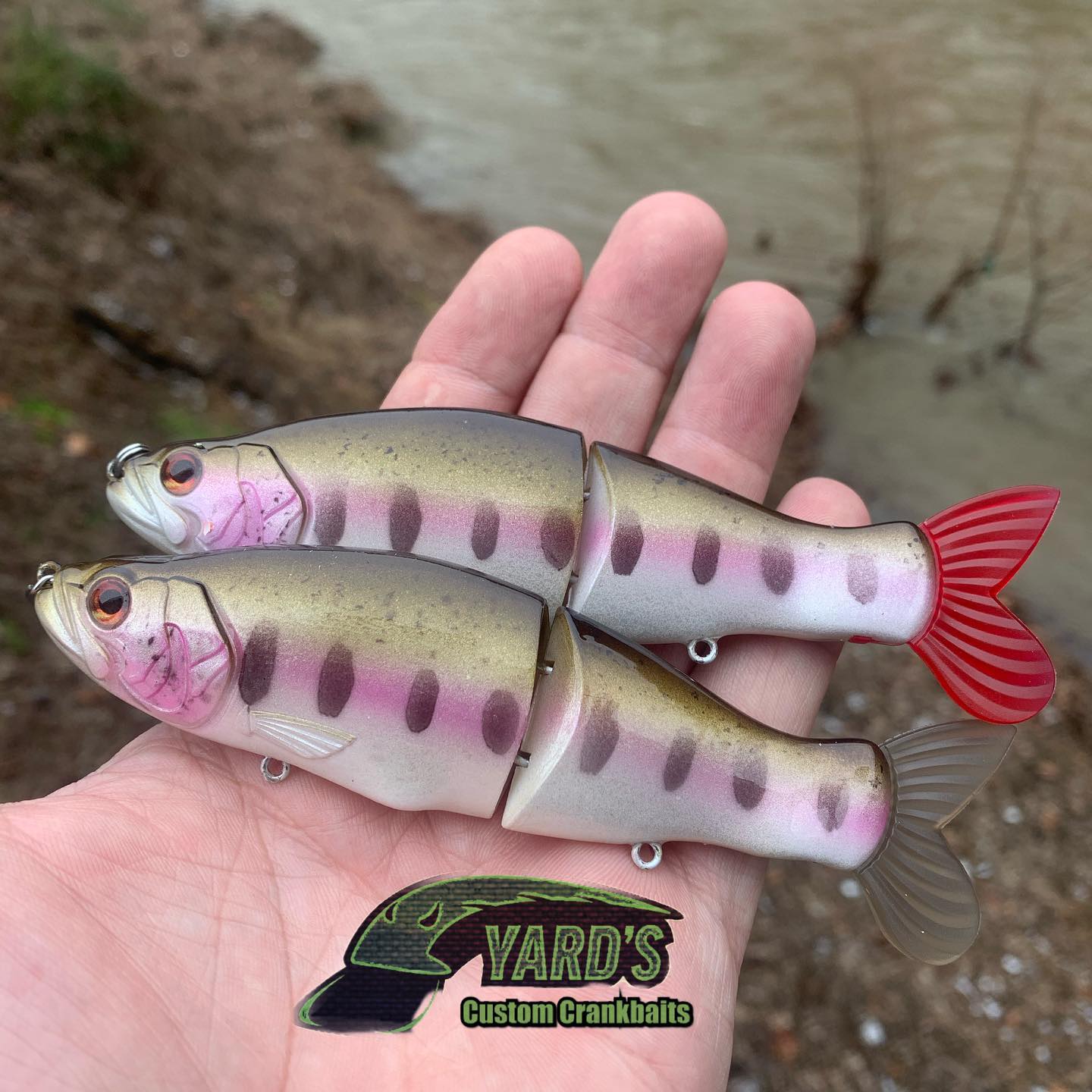 Megabass IS79 ULTIMATE COMPETITION ジャン Megabass IS79 Ultimate