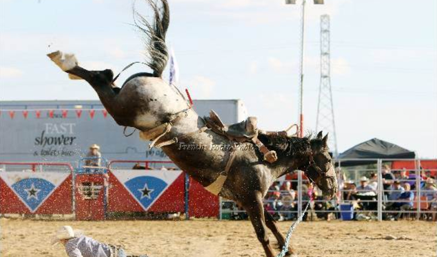 Wagga Pro Rodeo 2026 Live | Wagga Wagga NSW