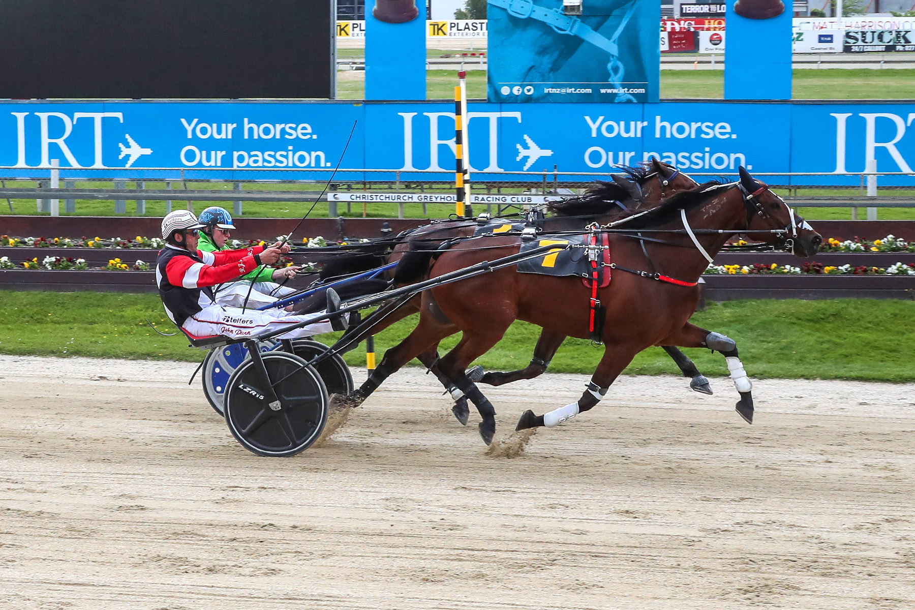 The Renwick Farms Dominion... - Harness Racing New Zealand | Facebook