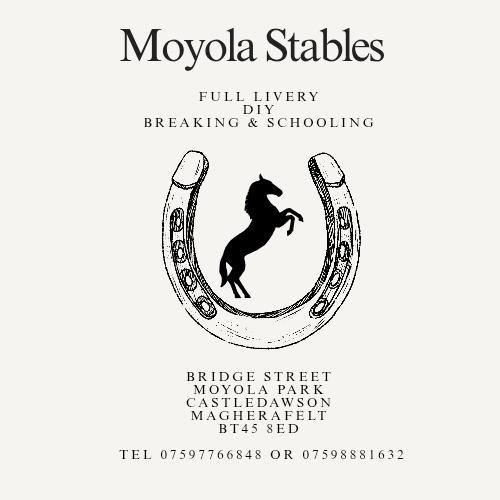 Ritchie's Equestrian and Country Store | Rasharkin